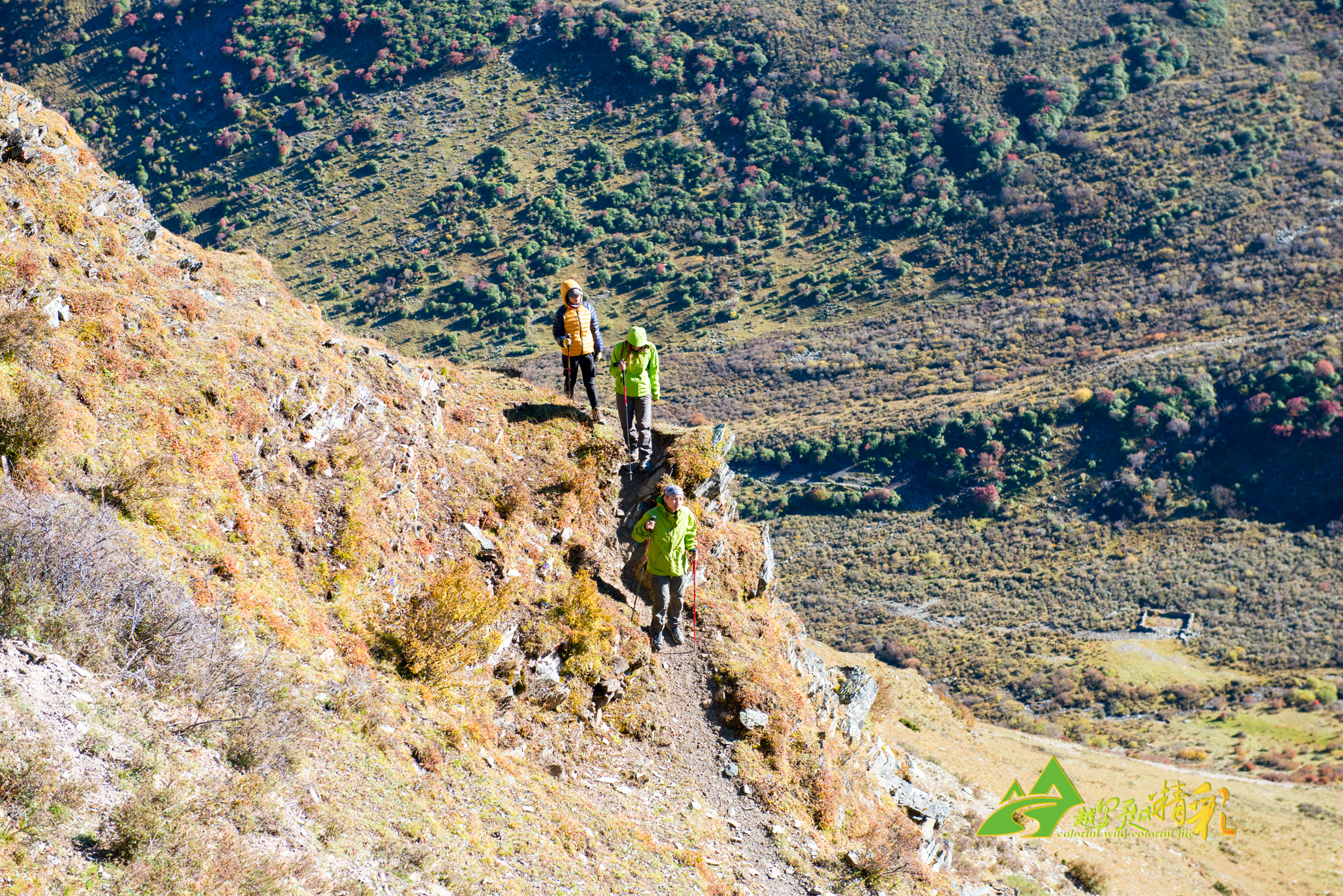 留学生表示 留学生表示