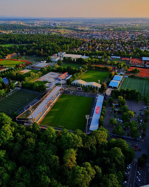 的双向互动 的双向互动