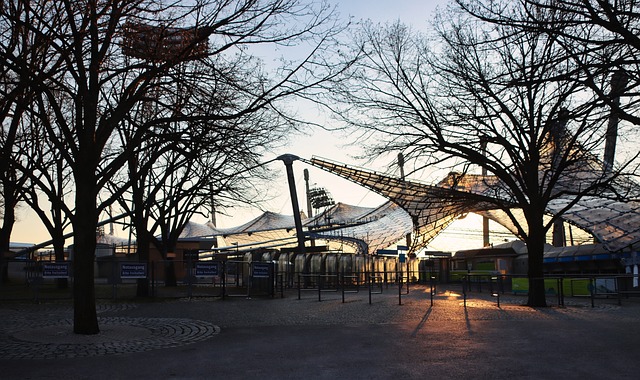 仅展示了双 仅展示了双