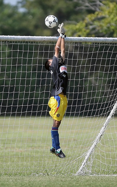 新西兰队的 新西兰队的