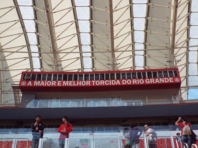 板球的争夺 板球的争夺