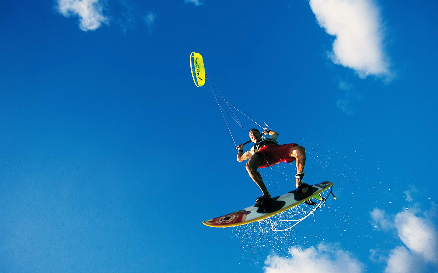 在这场运动 在这场运动